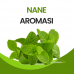 Nane Aroması 10 ML