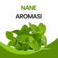 Nane Aroması 10 ML