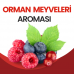 Orman Meyveleri Aroması 10ML