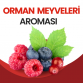 Orman Meyveleri Aroması 10ML